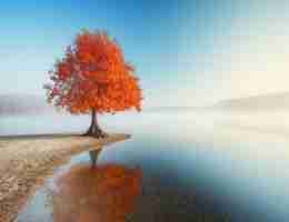 谷‌歌‍seo好‌做‍吗‌